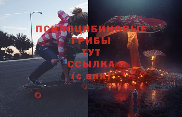 spice Армянск