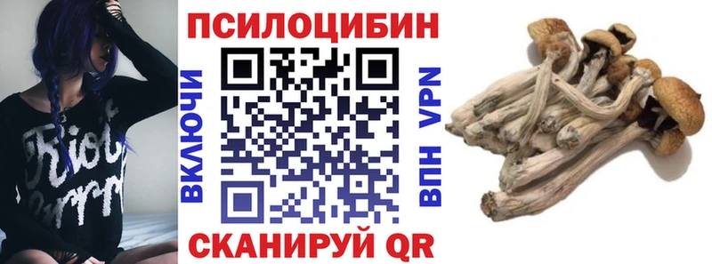Псилоцибиновые грибы Psilocybe  mega онион  Ахтубинск 