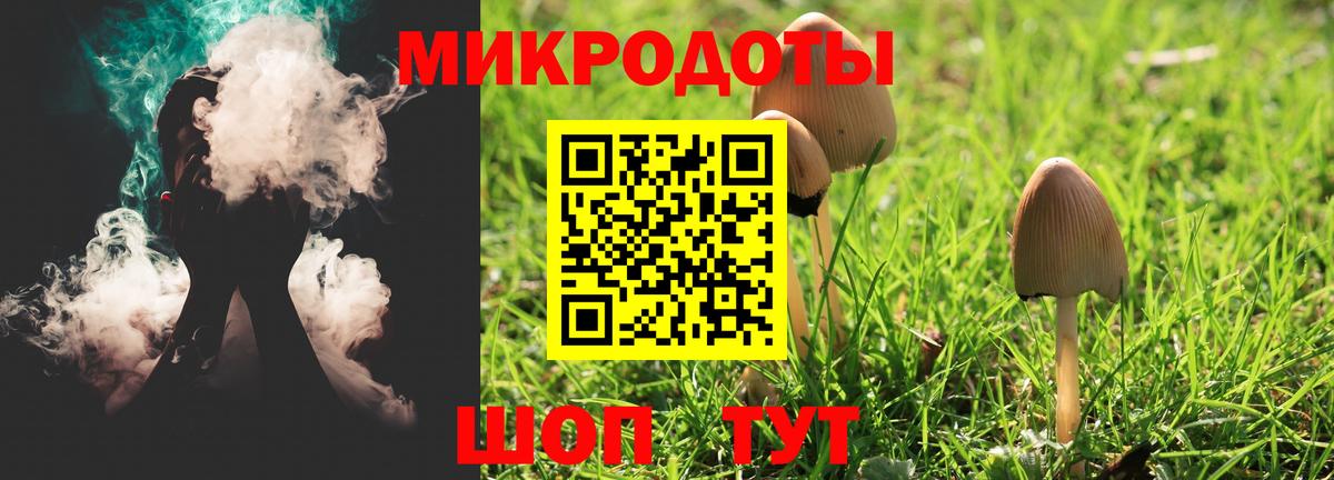 Псилоцибиновые грибы Cubensis Ахтубинск