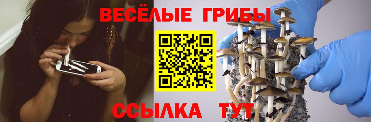 Галлюциногенные грибы Psilocybe  Вход с VPN  Псилоцибиновые грибы Magic Shrooms  Ахтубинск 